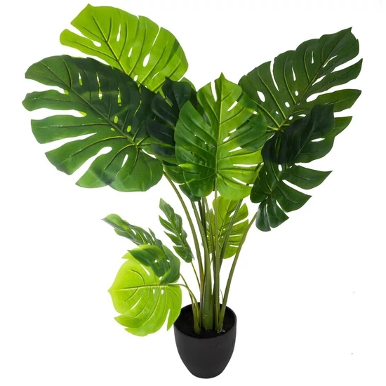 Filodendron - 110 cm