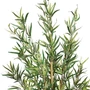 Kép 2/2 - bambusz - 120 cm